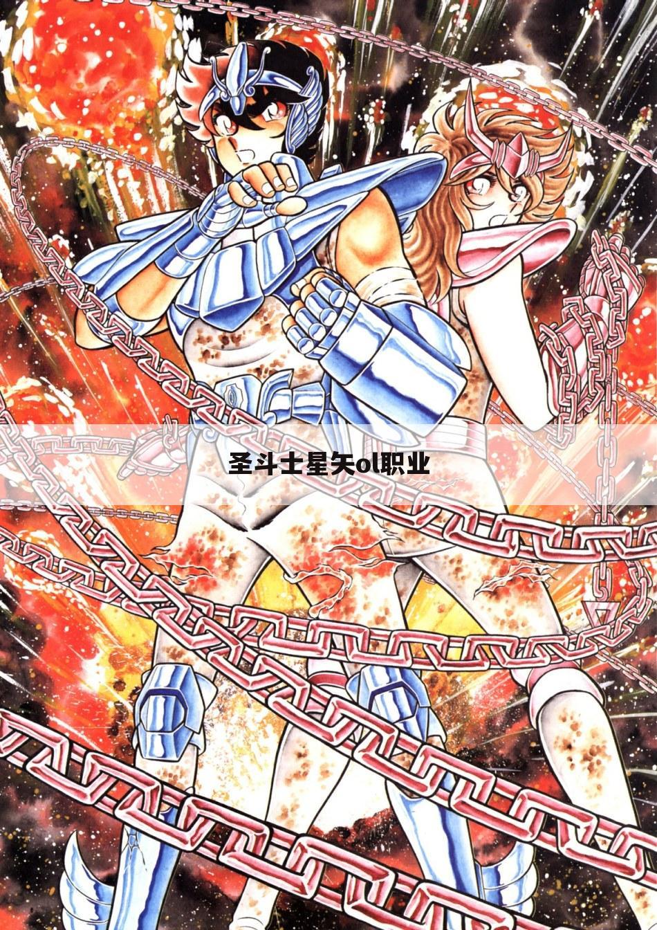 圣斗士星矢ol职业