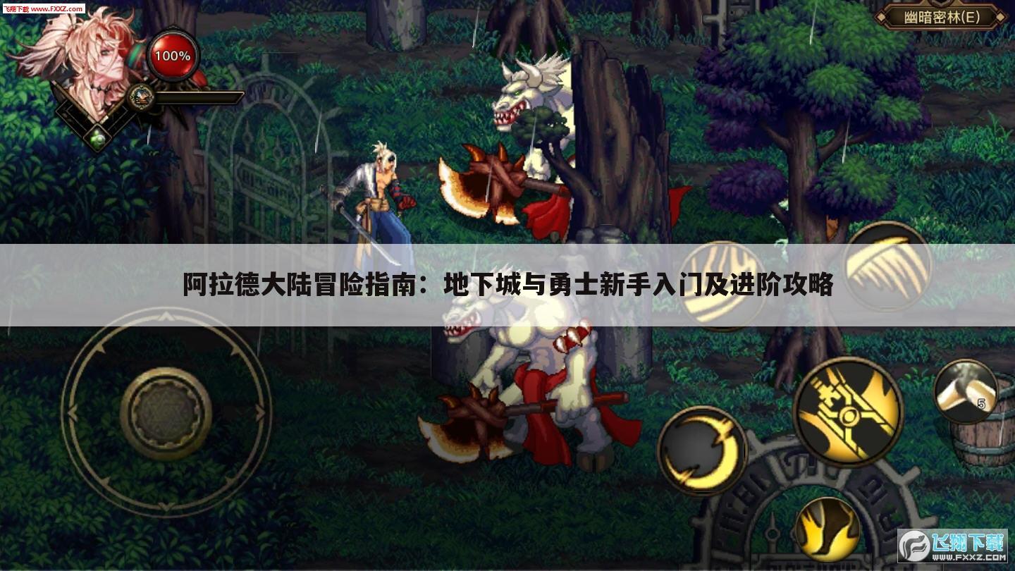 阿拉德大陆冒险指南：地下城与勇士新手入门及进阶攻略