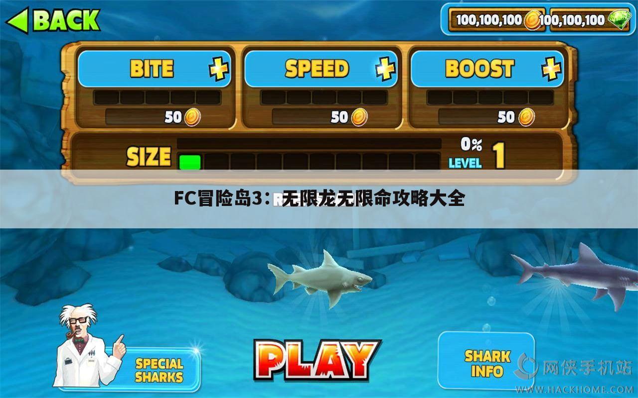 FC冒险岛3：无限龙无限命攻略大全