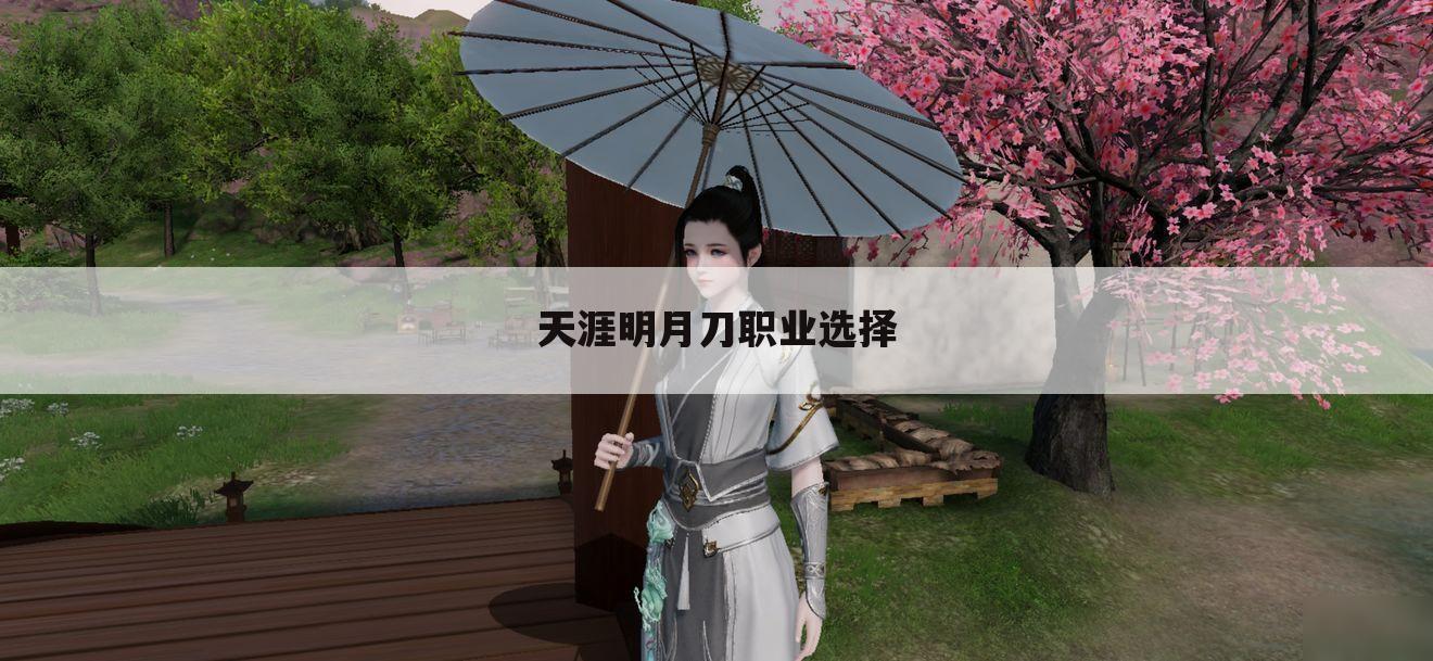 天涯明月刀职业选择