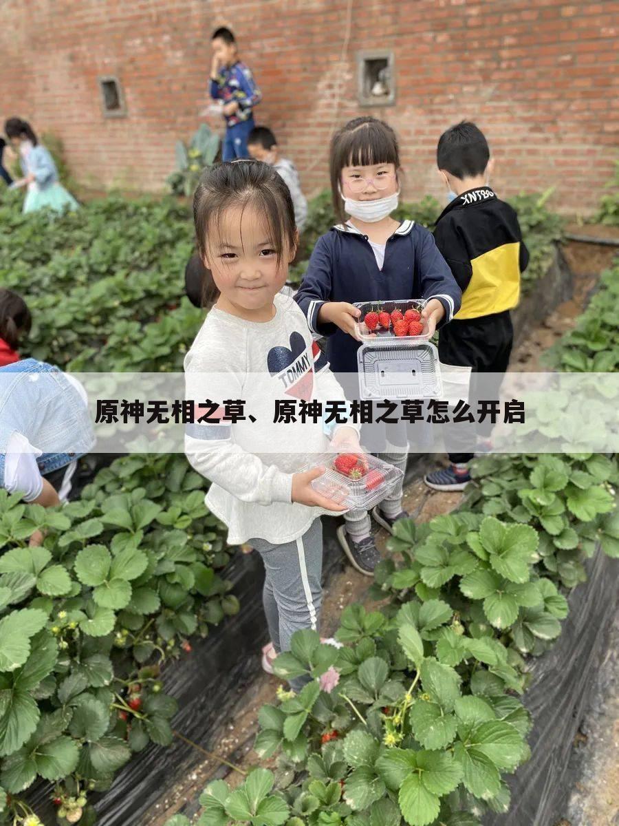 原神无相之草、原神无相之草怎么开启