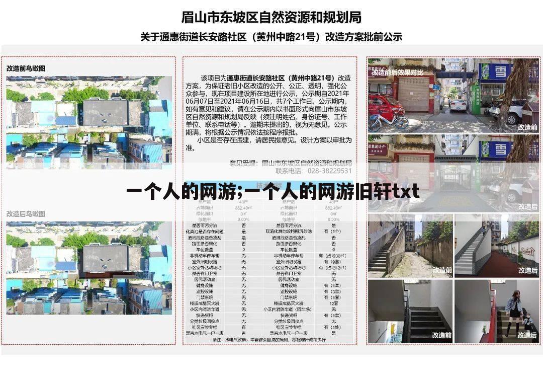 一个人的网游;一个人的网游旧轩txt