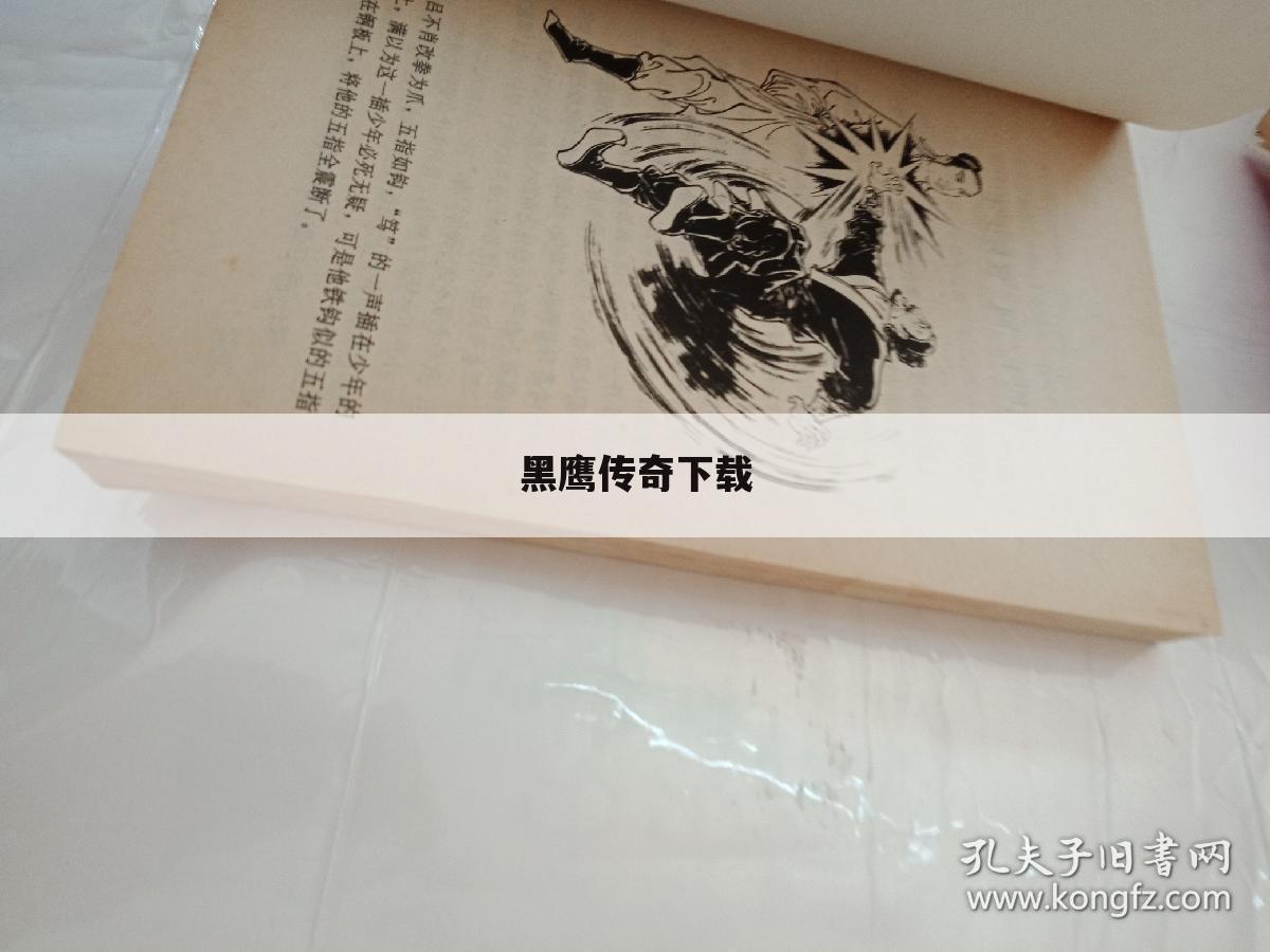黑鹰传奇下载