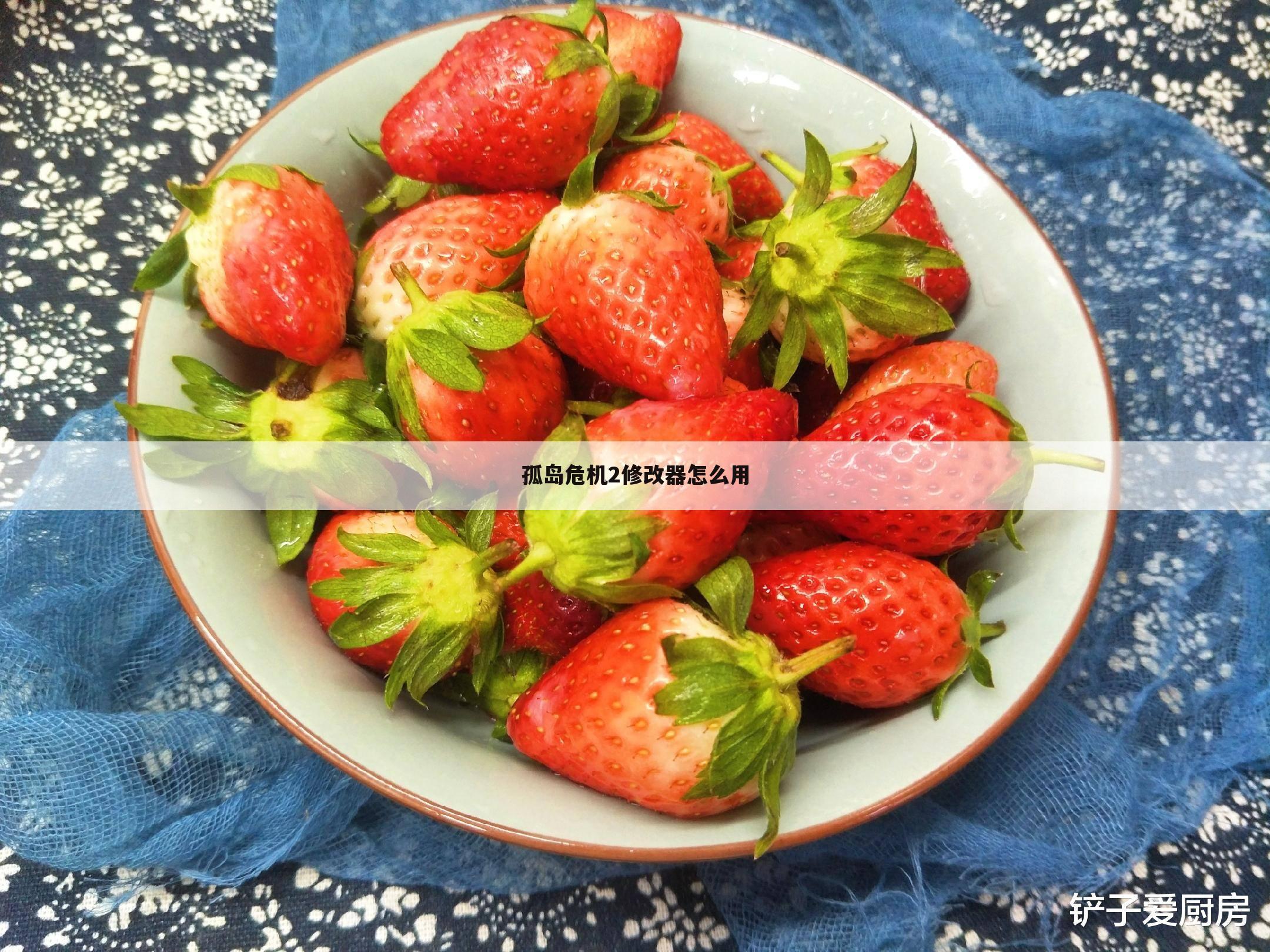 孤岛危机2修改器怎么用