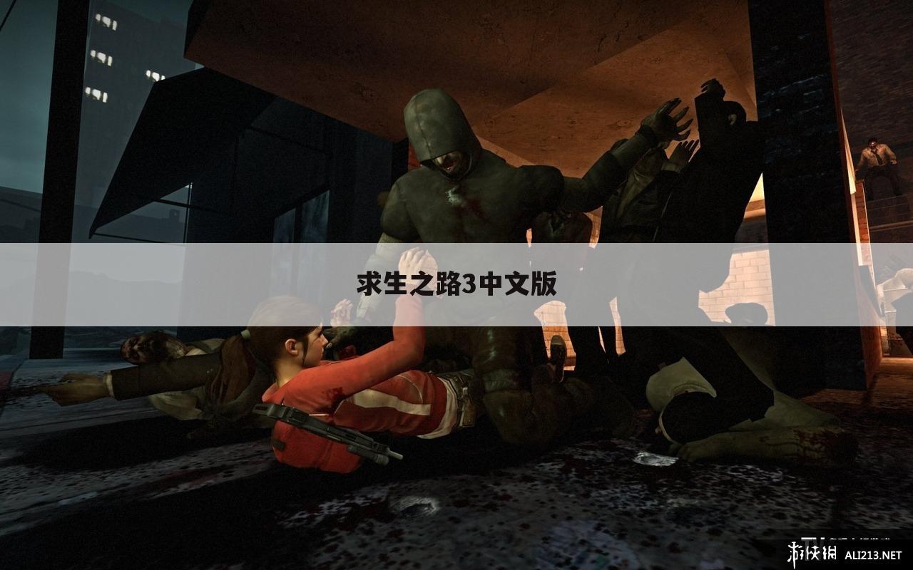 求生之路3中文版