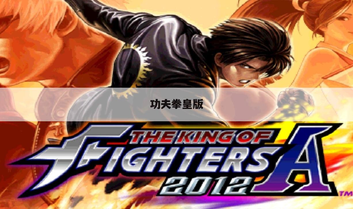 功夫拳皇版
