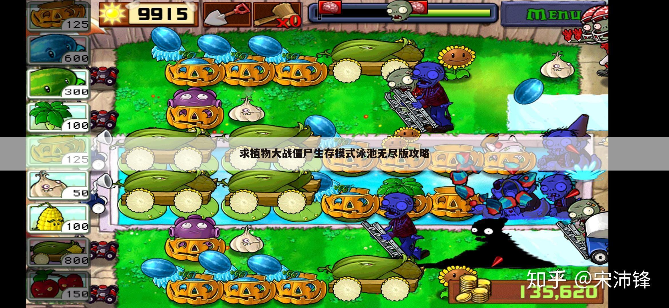求植物大战僵尸生存模式泳池无尽版攻略