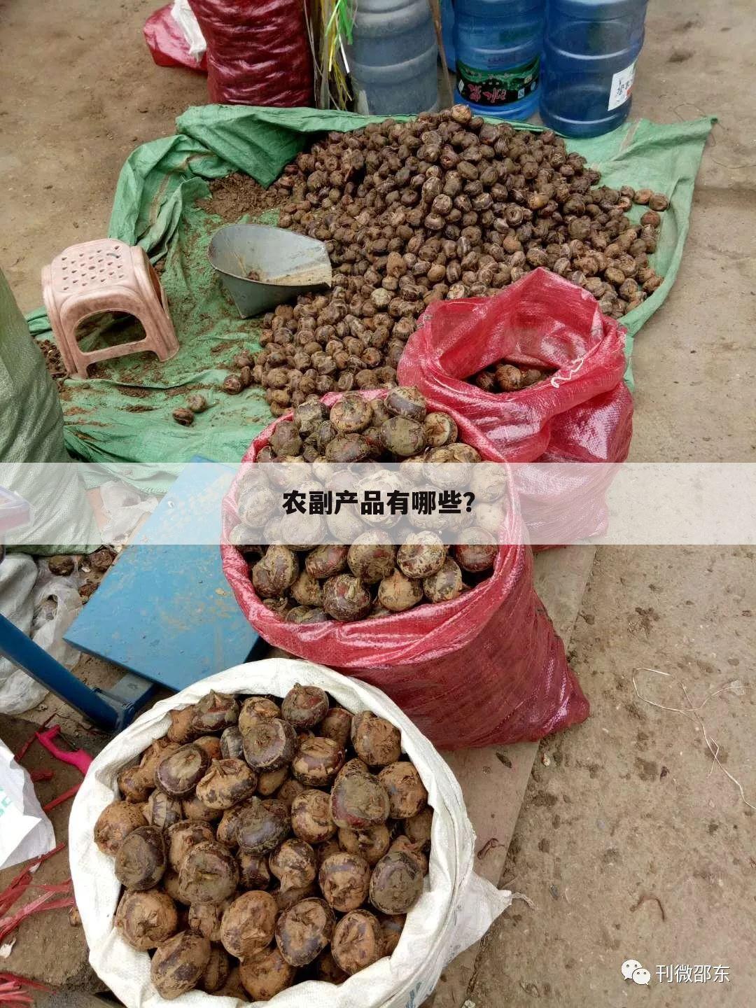 农副产品有哪些?
