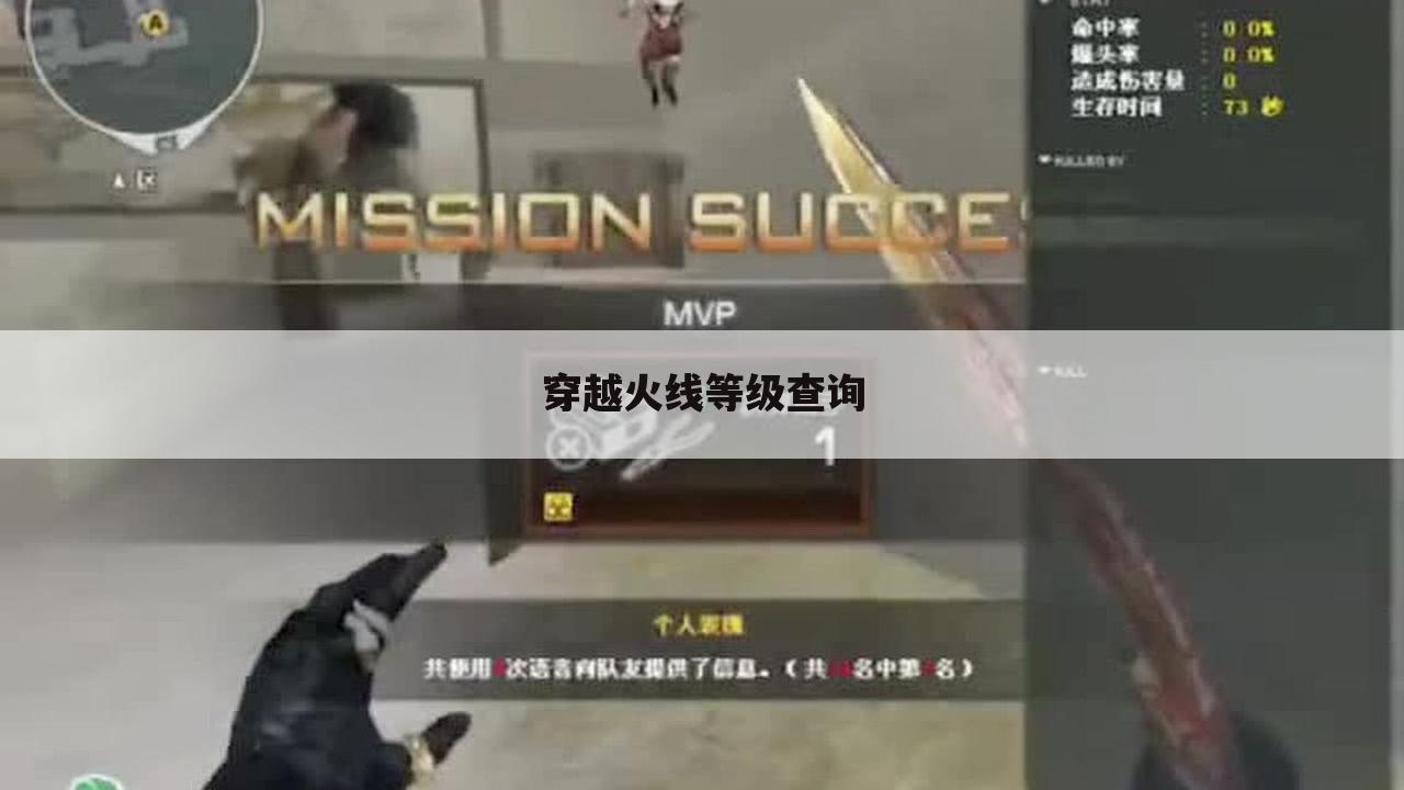 穿越火线等级查询