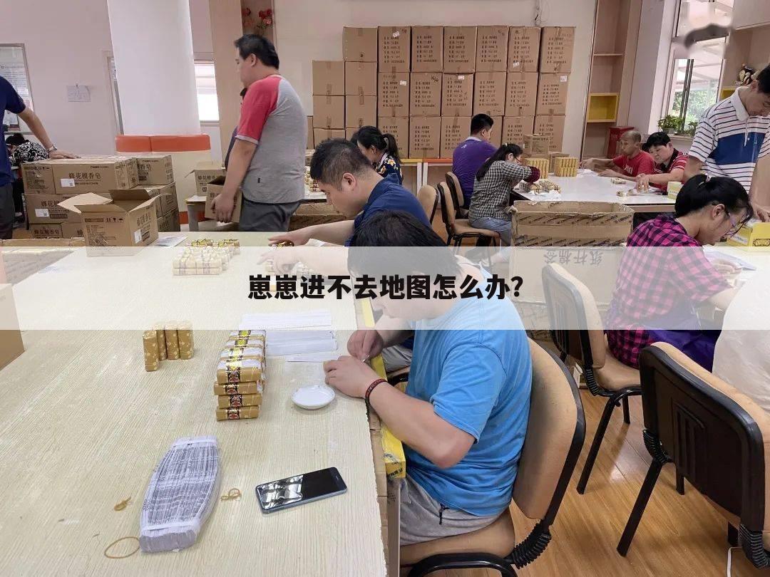 崽崽进不去地图怎么办？