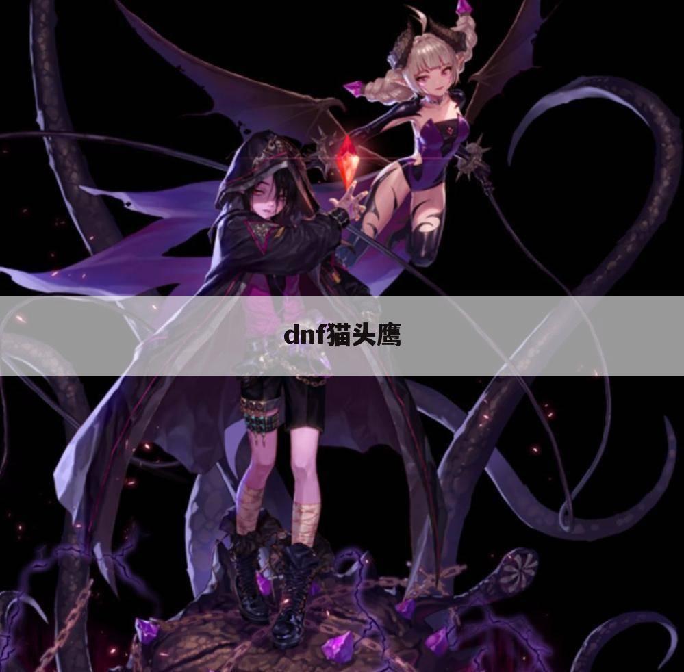 dnf猫头鹰