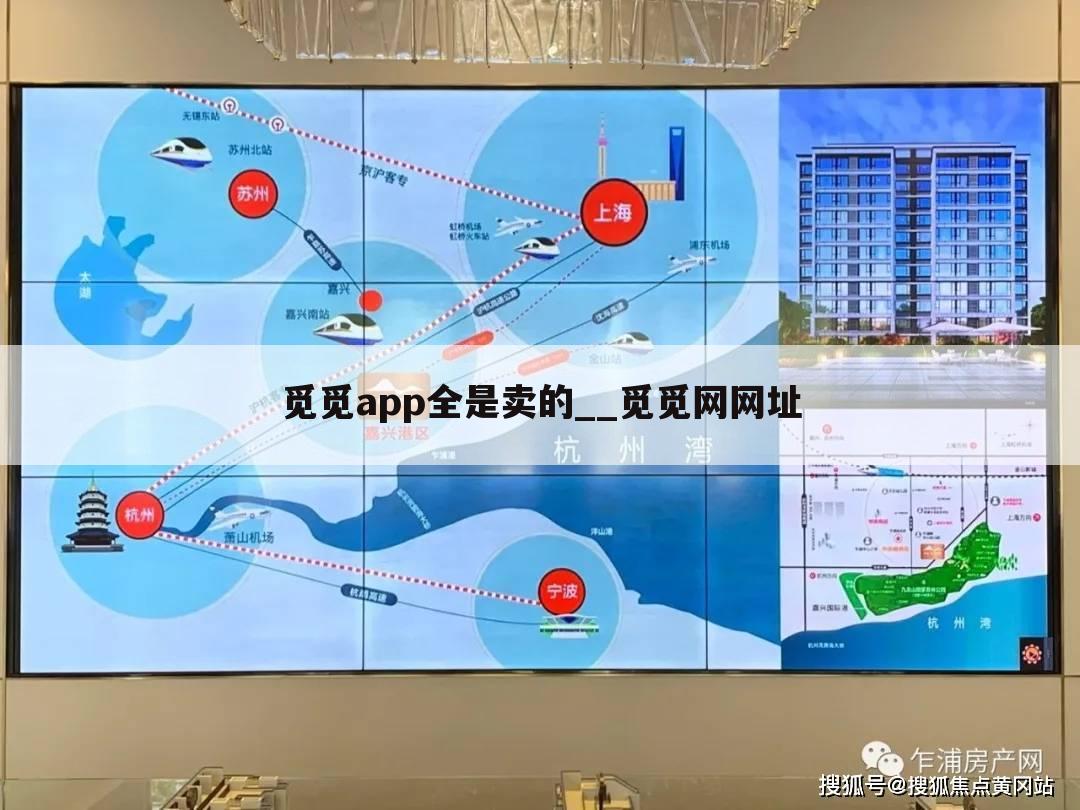 觅觅app全是卖的__觅觅网网址