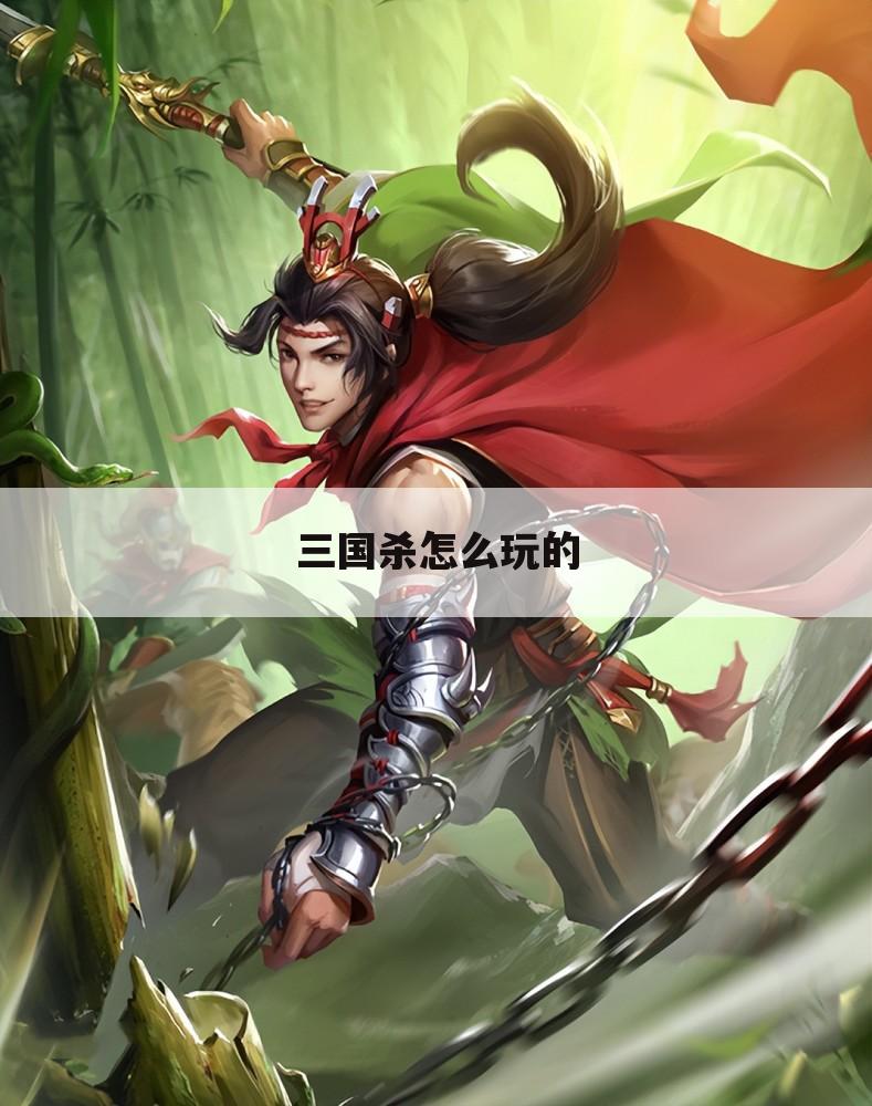 三国杀怎么玩的