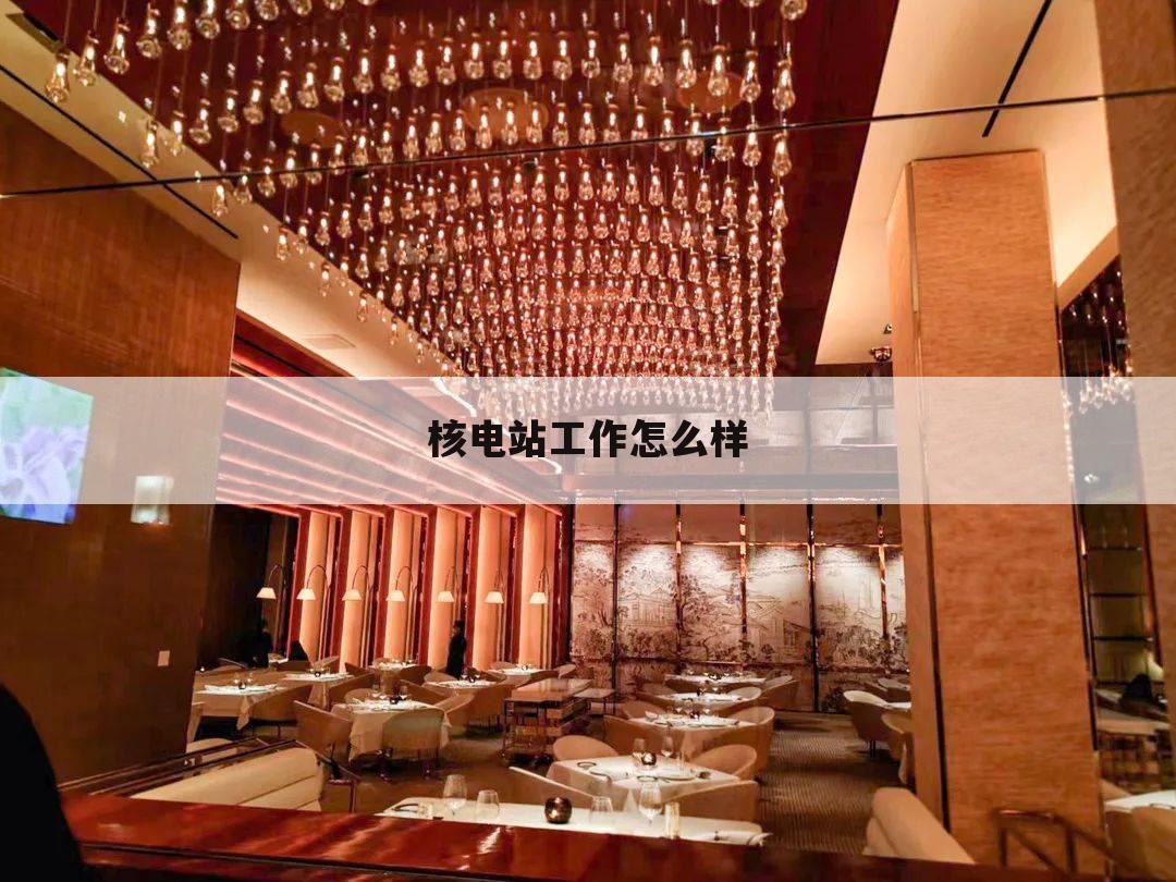 核电站工作怎么样