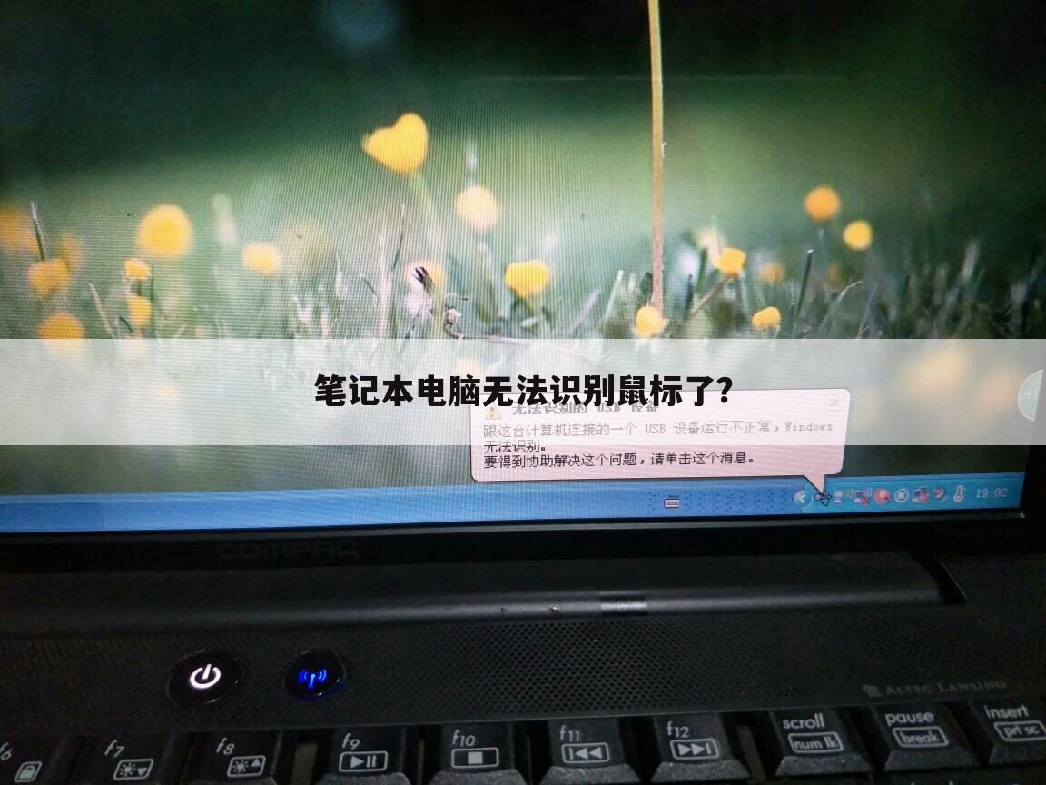 笔记本电脑无法识别鼠标了?