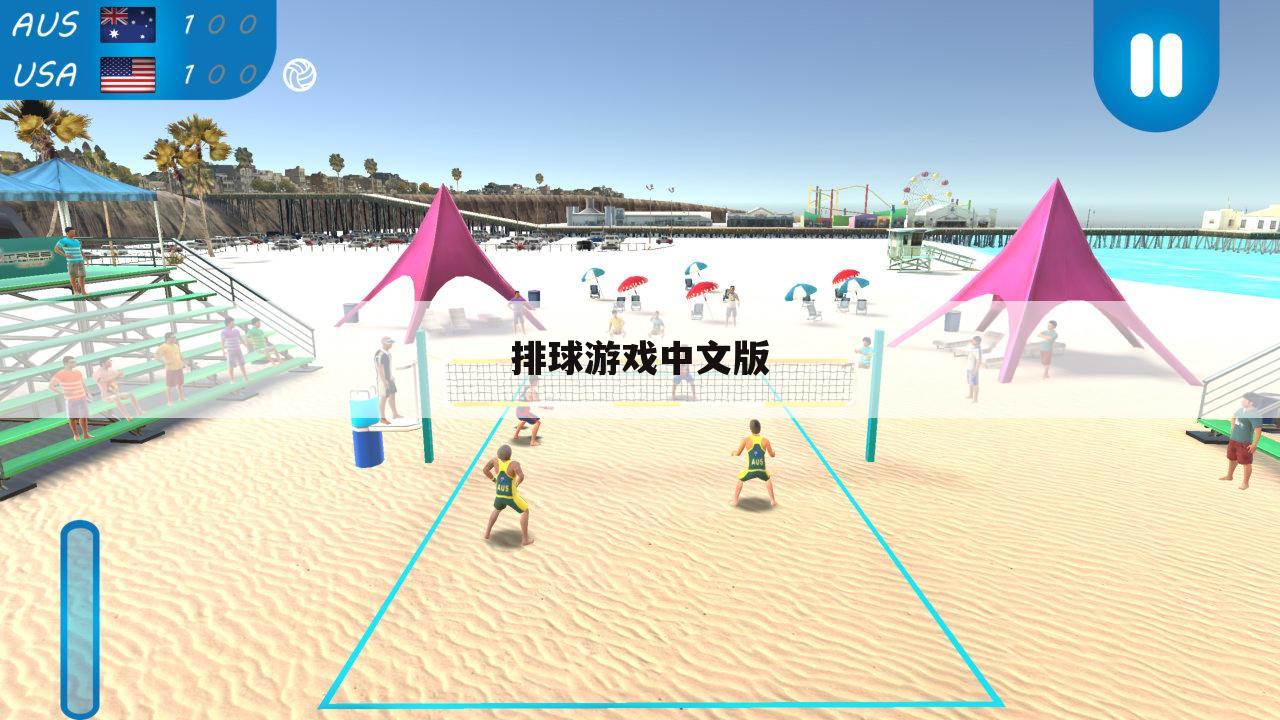 排球游戏中文版