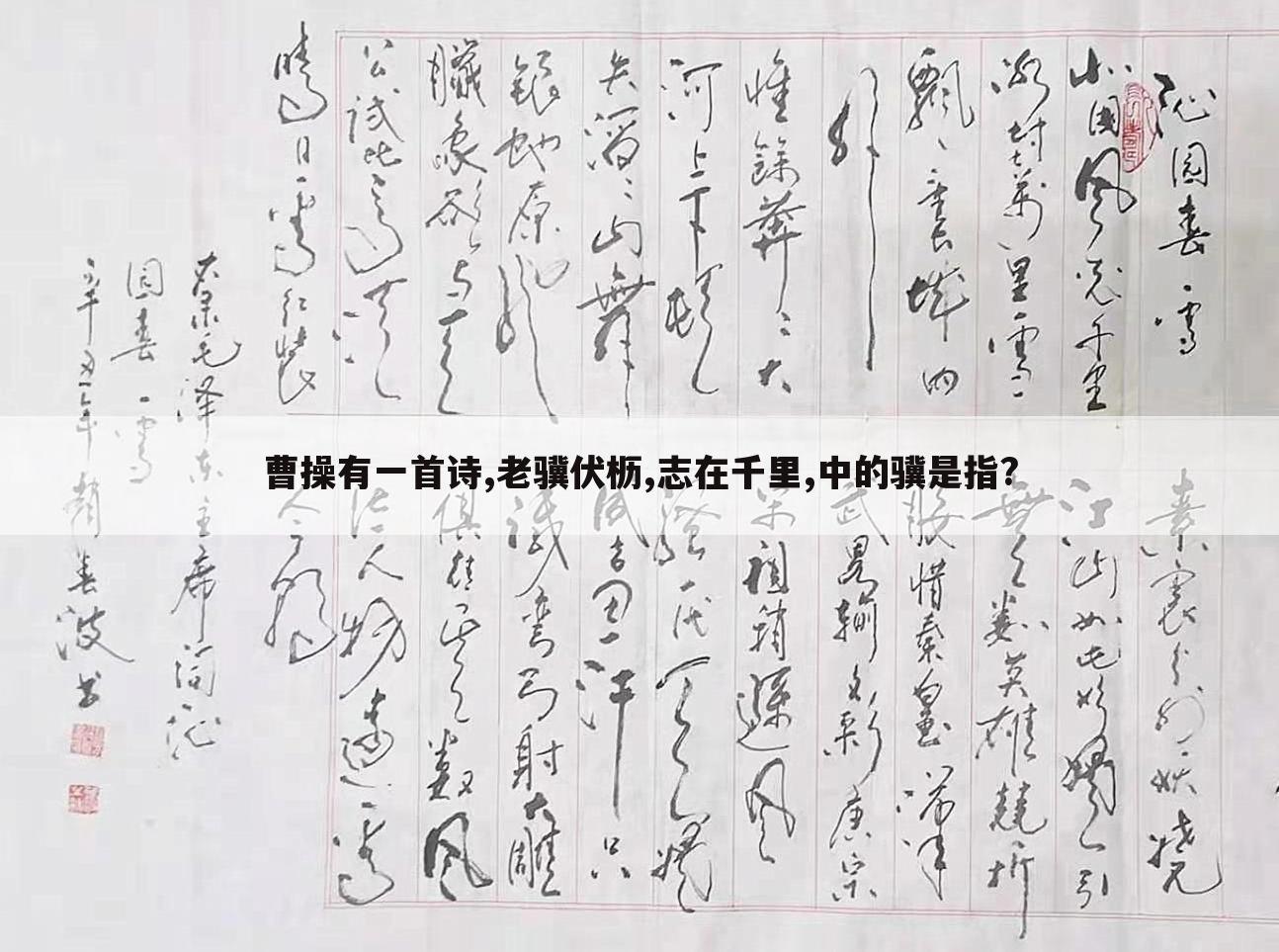 曹操有一首诗,老骥伏枥,志在千里,中的骥是指?