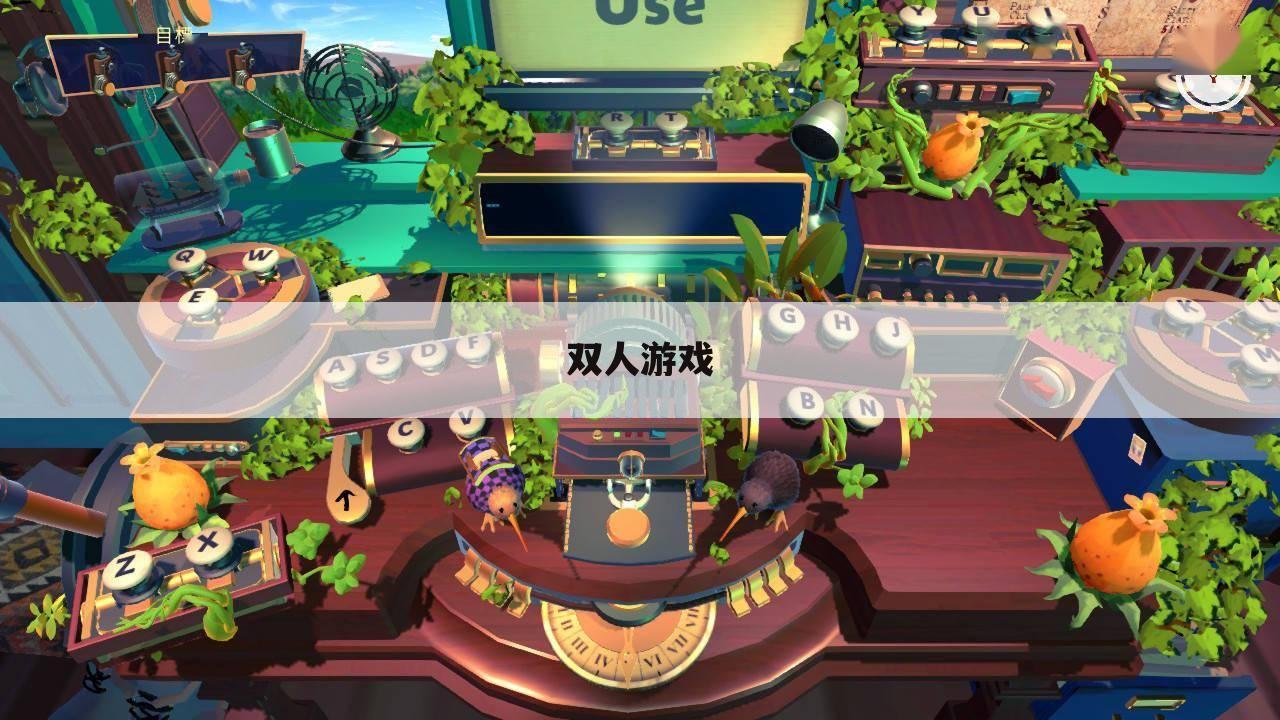 双人游戏
