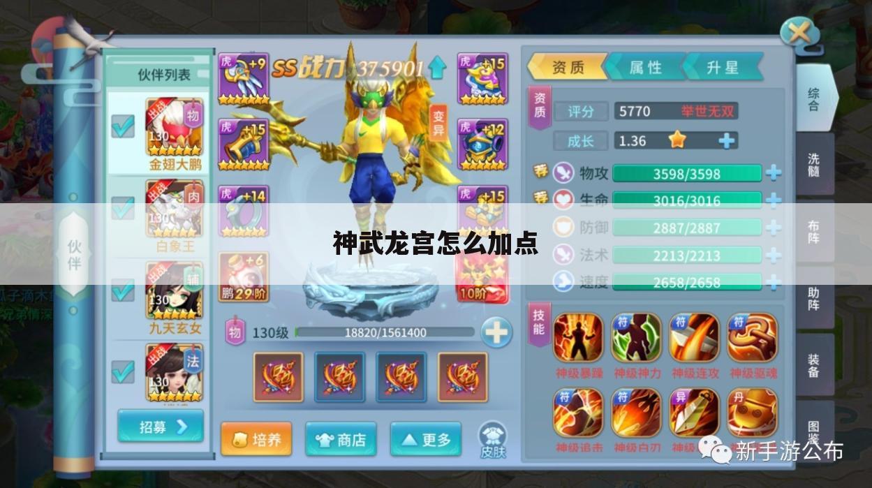 神武龙宫怎么加点