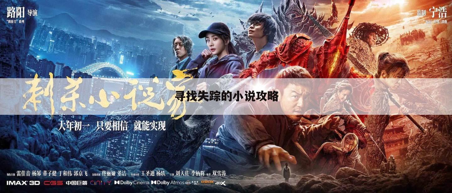 寻找失踪的小说攻略