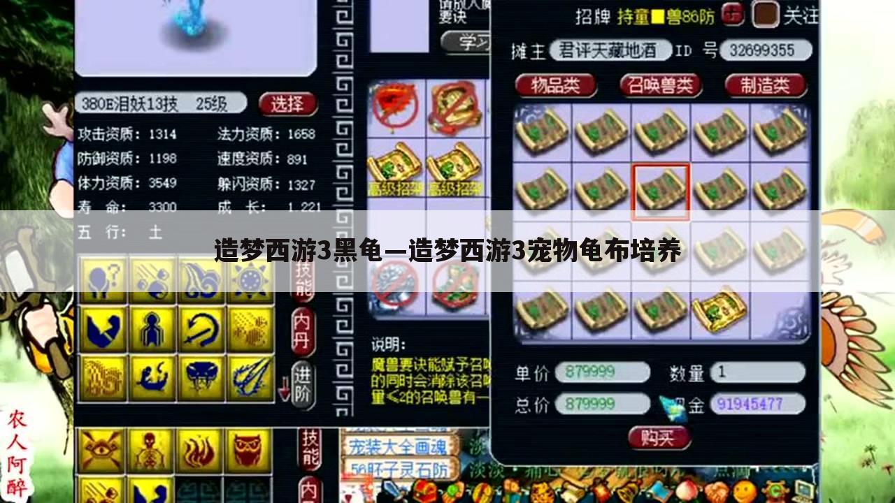 造梦西游3黑龟—造梦西游3宠物龟布培养