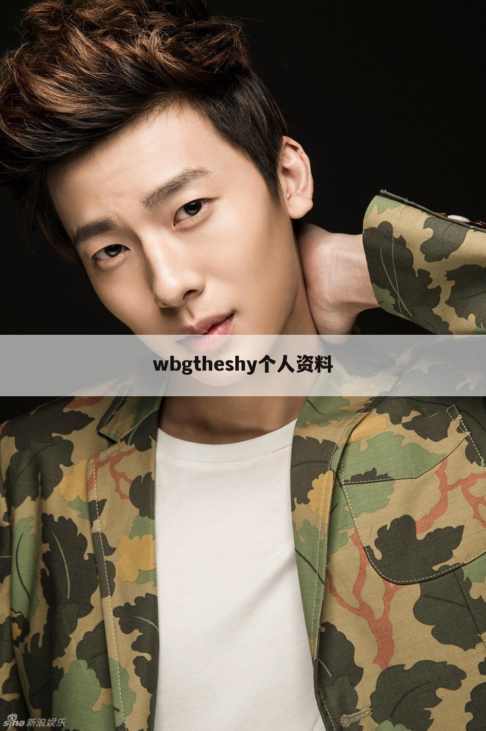 wbgtheshy个人资料