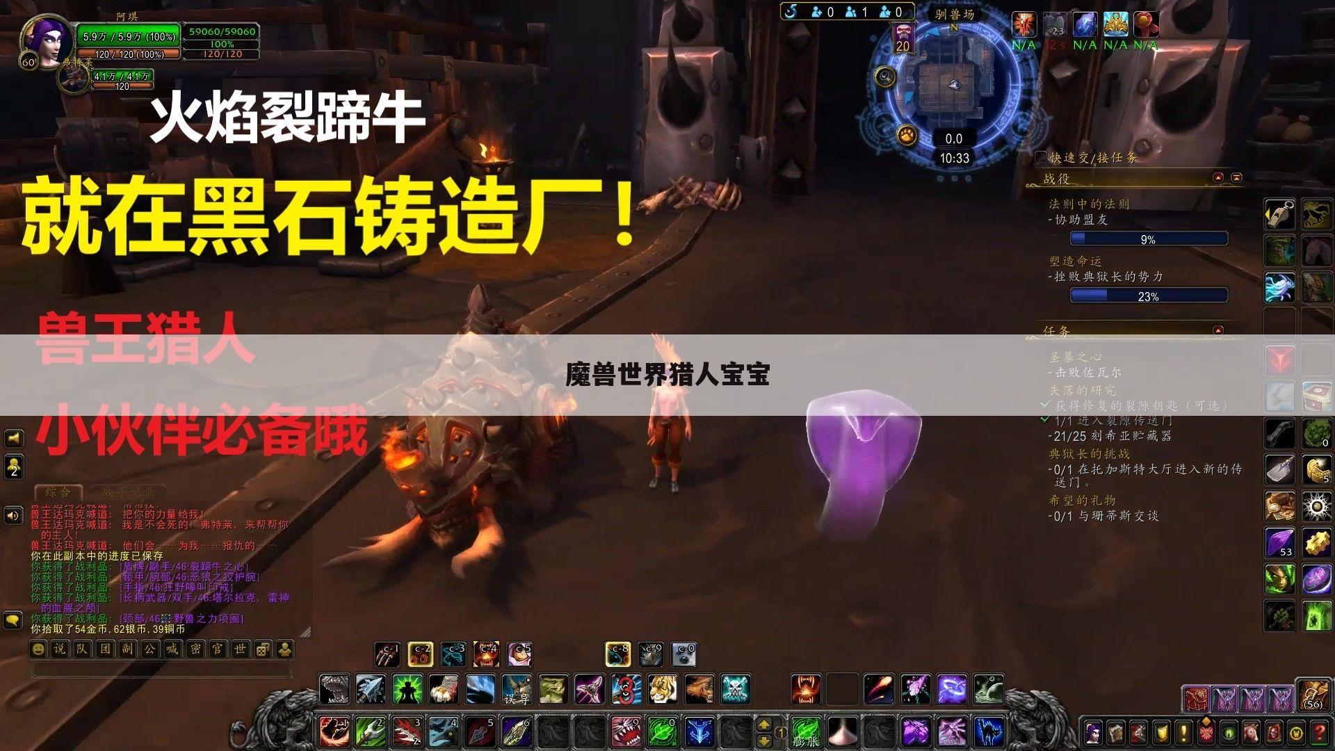 魔兽世界猎人宝宝