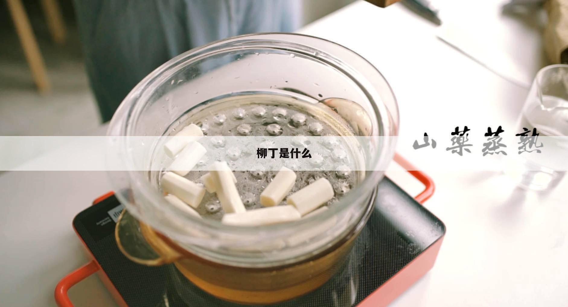 柳丁是什么