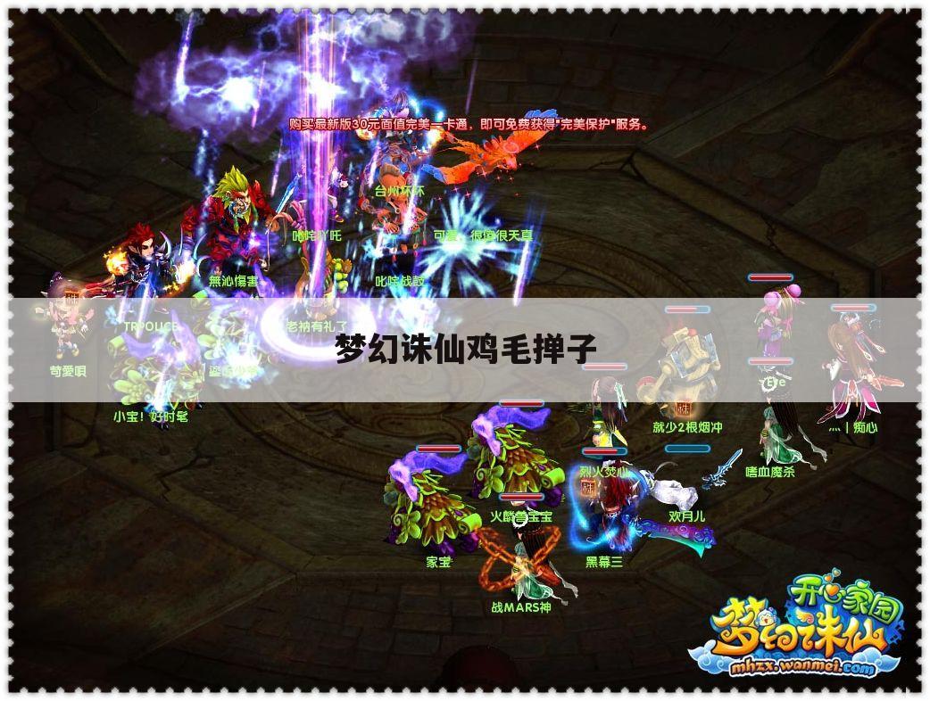 梦幻诛仙鸡毛掸子