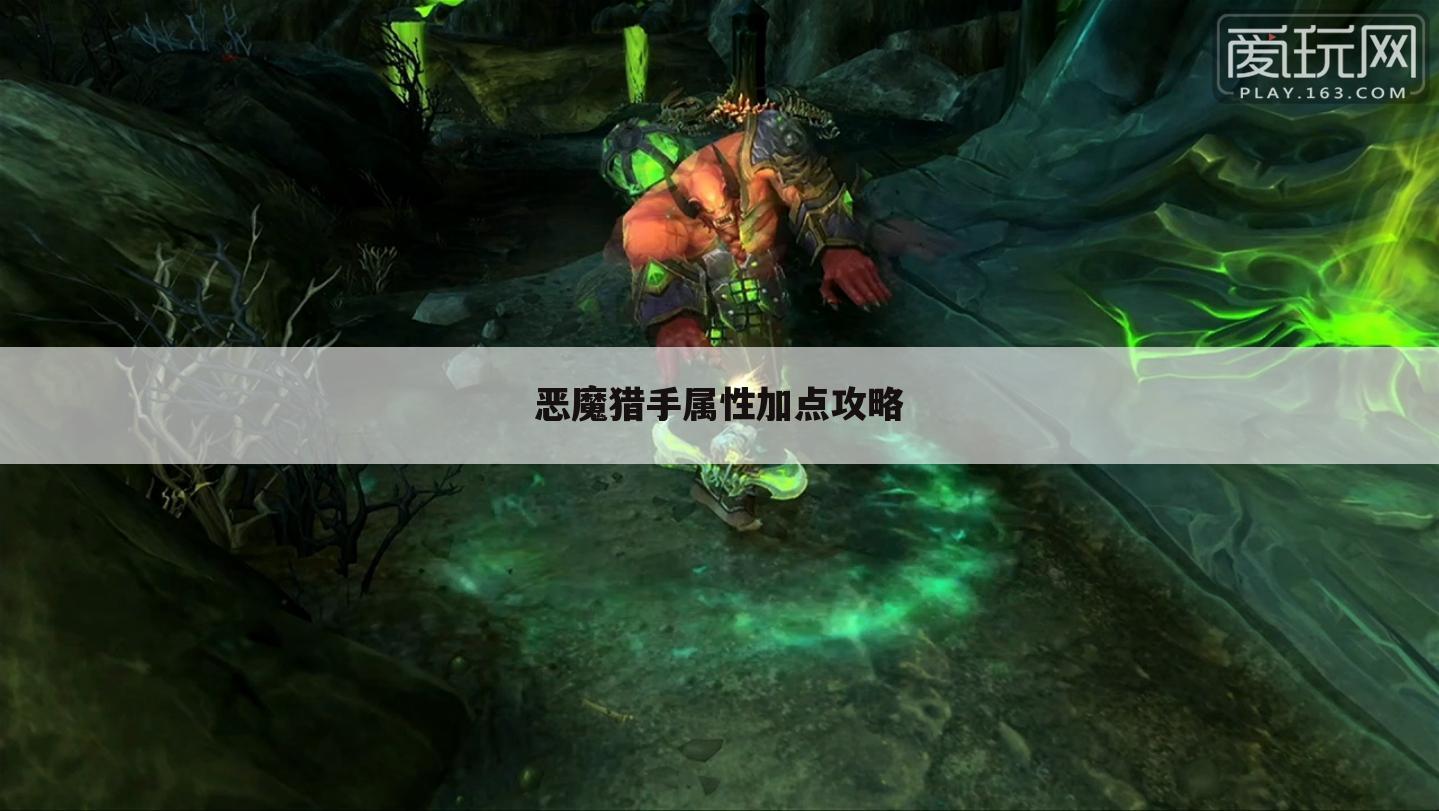 恶魔猎手属性加点攻略