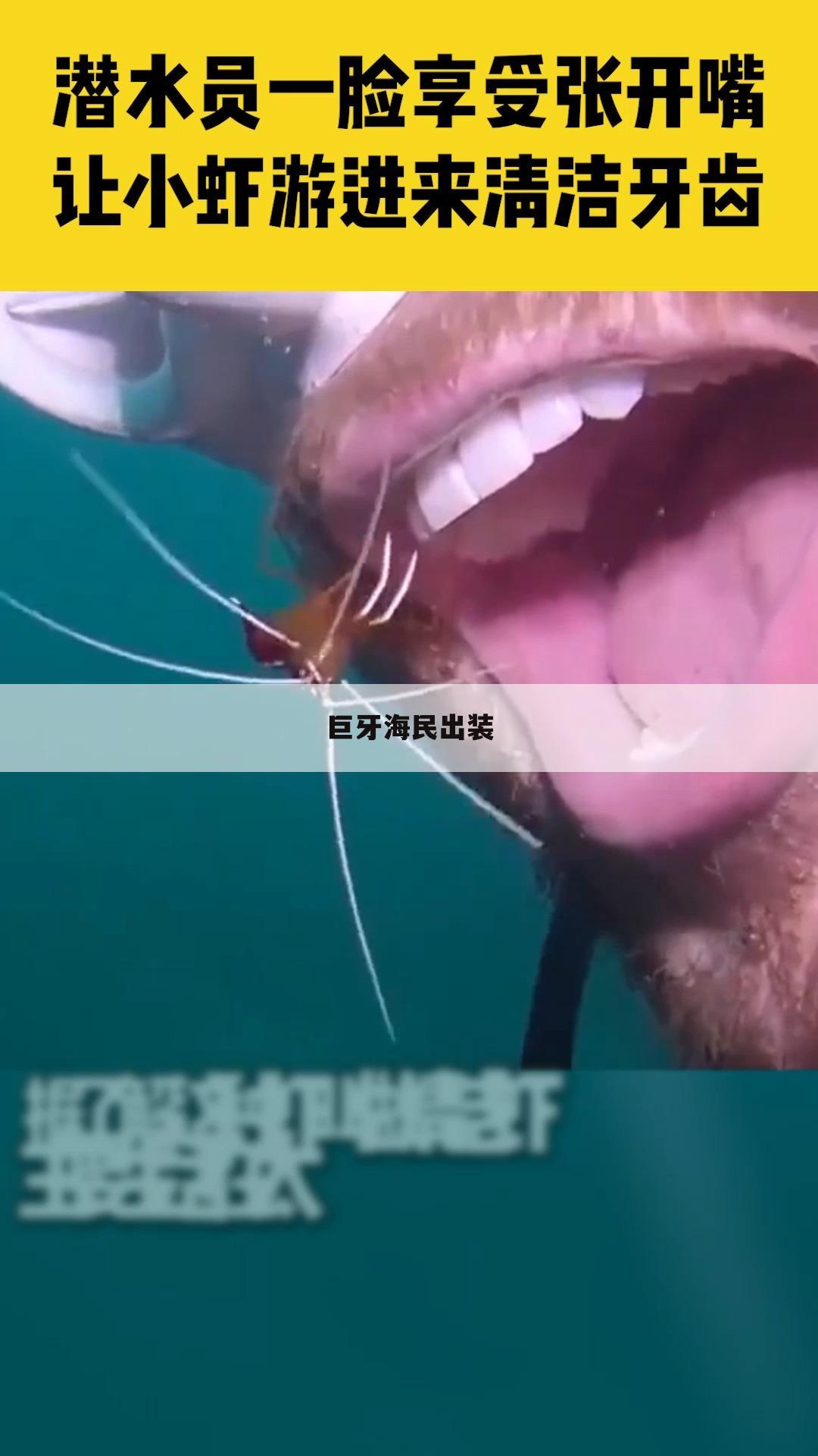 巨牙海民出装