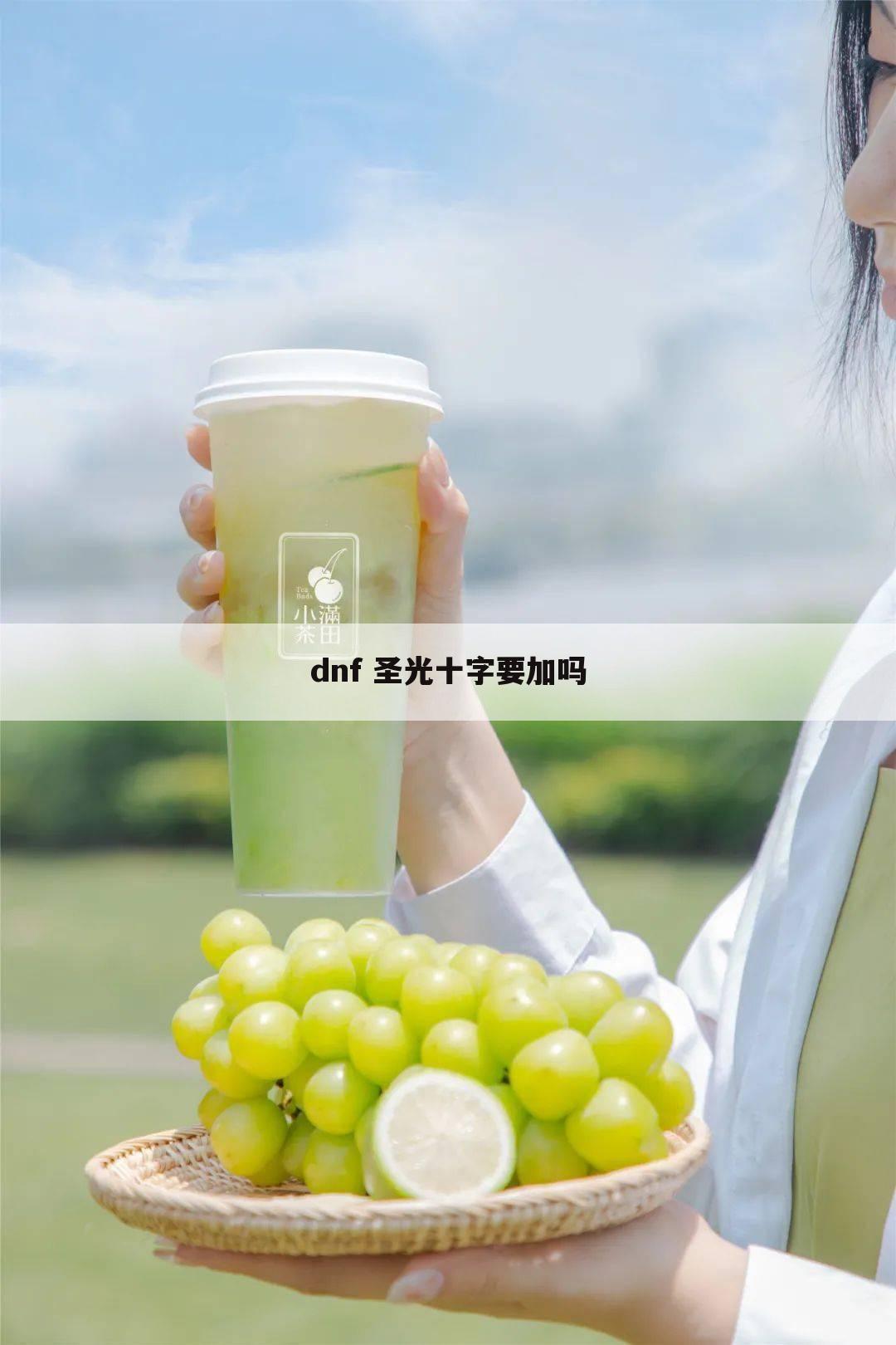 dnf 圣光十字要加吗