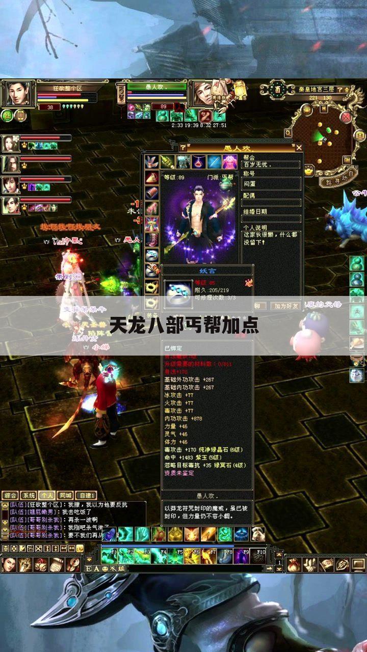 天龙八部丐帮加点