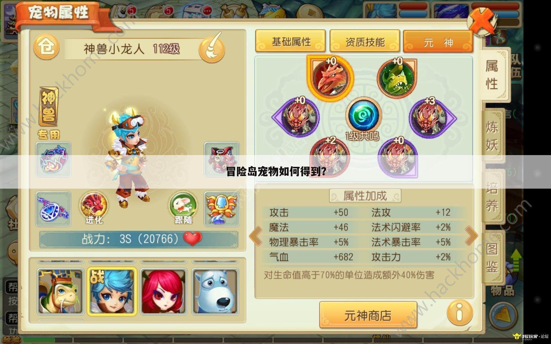 冒险岛宠物如何得到?