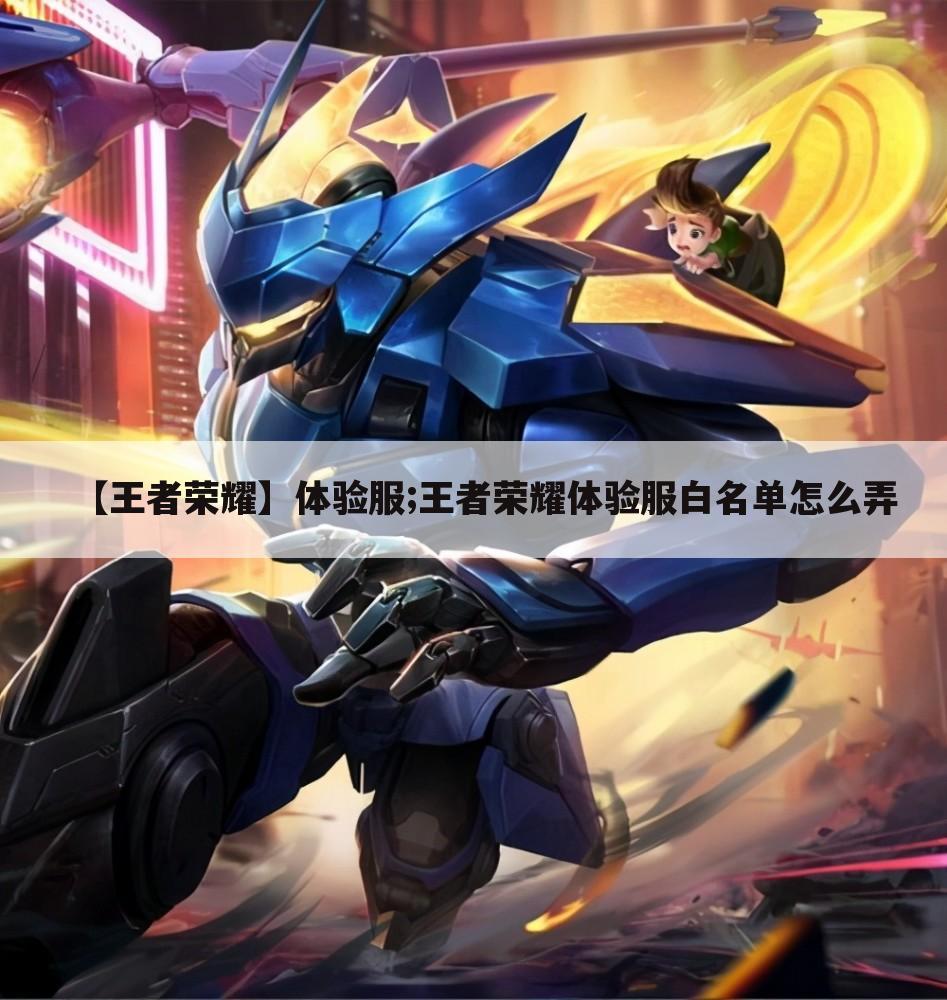 【王者荣耀】体验服;王者荣耀体验服白名单怎么弄