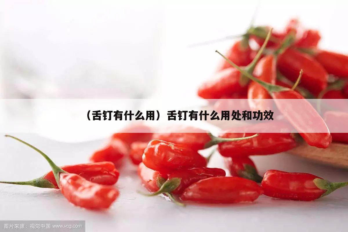 （舌钉有什么用）舌钉有什么用处和功效