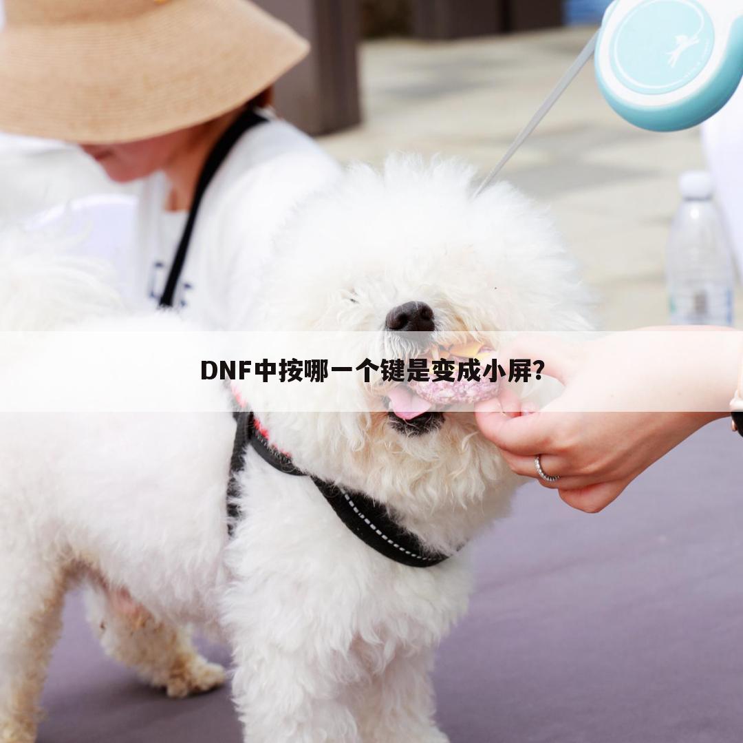 DNF中按哪一个键是变成小屏？