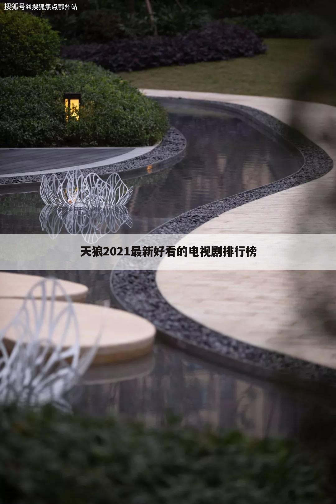天狼2021最新好看的电视剧排行榜