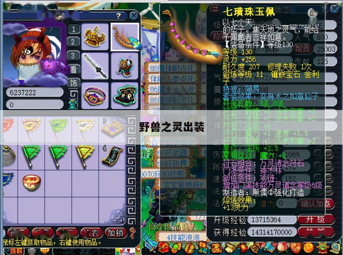 野兽之灵出装