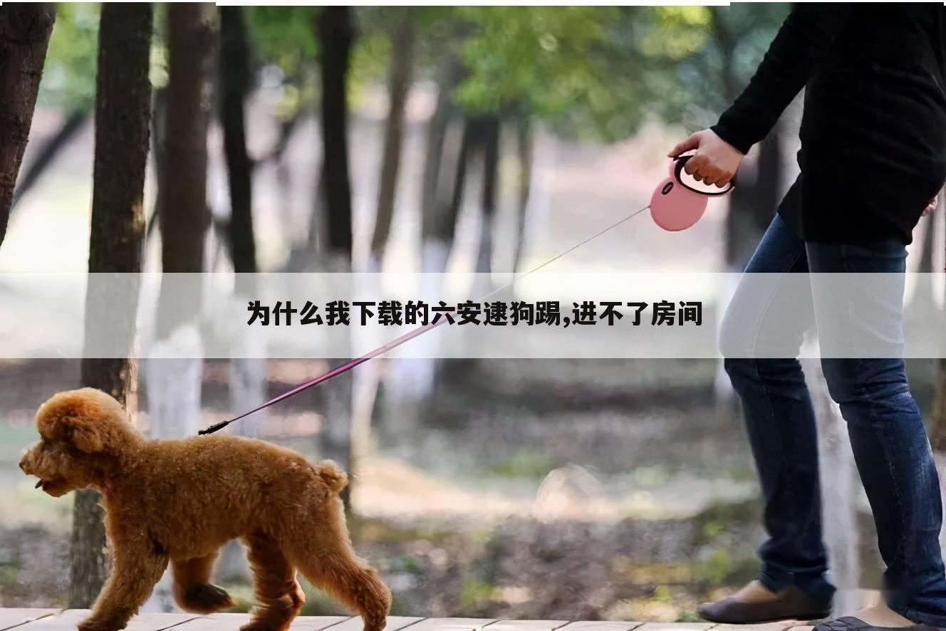 为什么我下载的六安逮狗踢,进不了房间