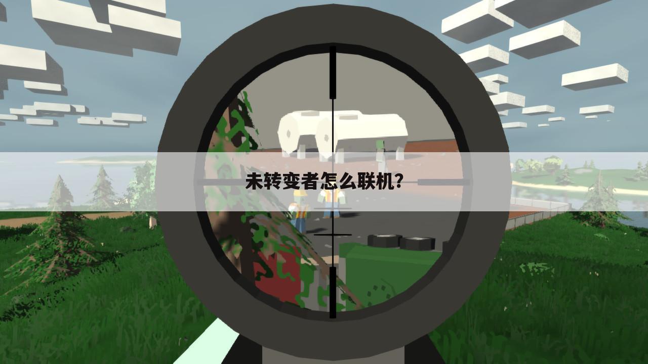 未转变者怎么联机?