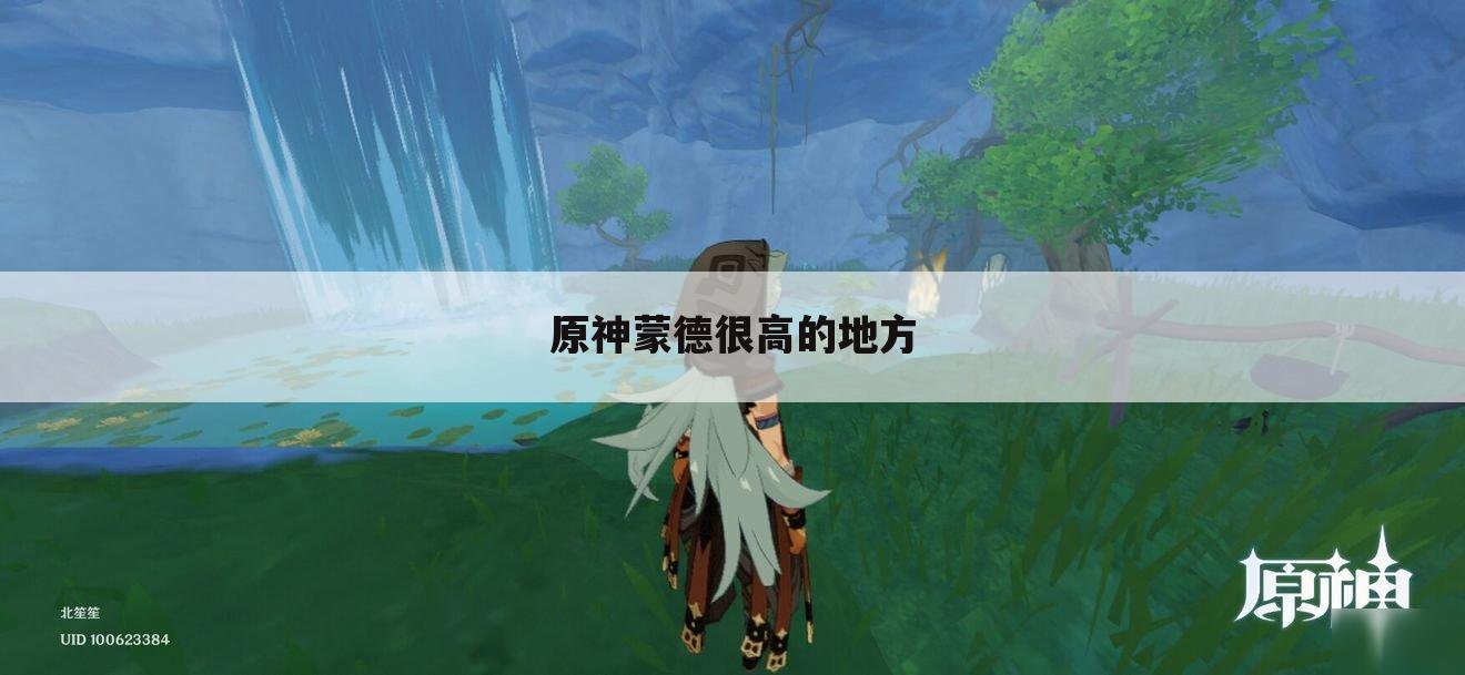 原神蒙德很高的地方