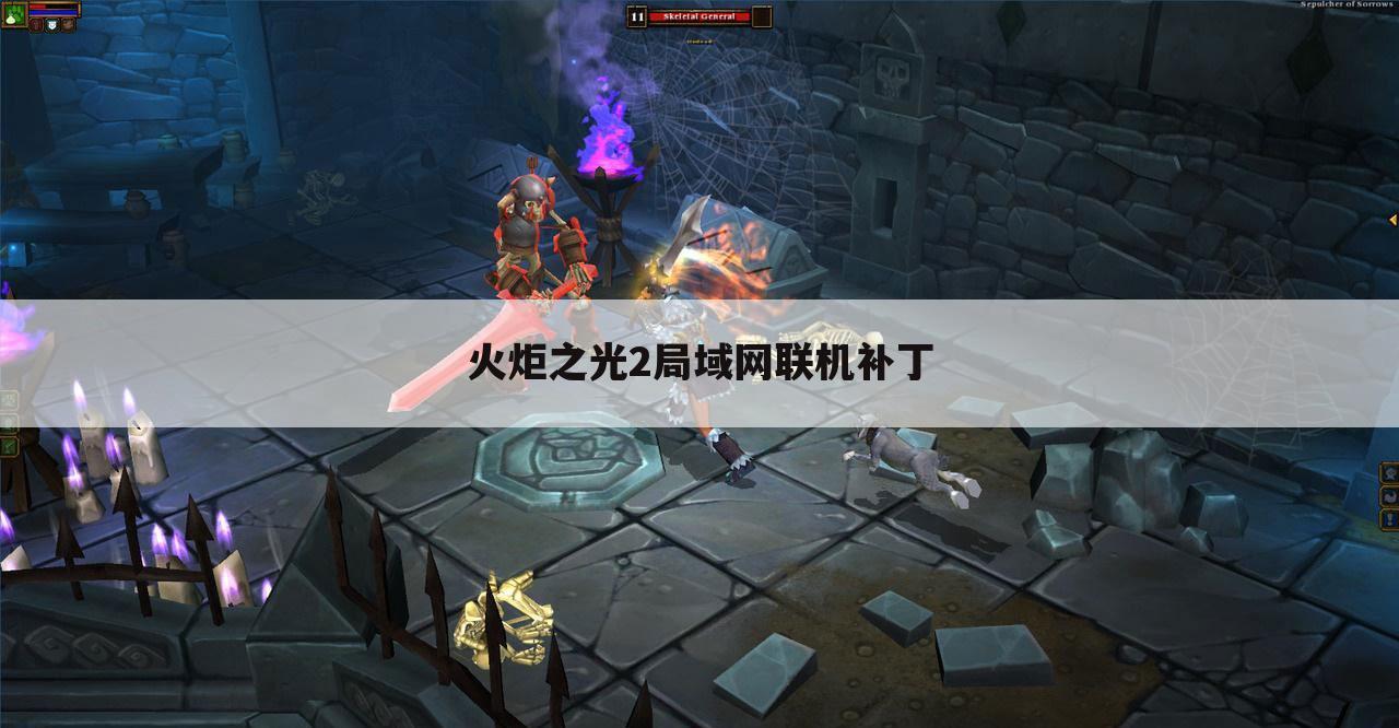 火炬之光2局域网联机补丁