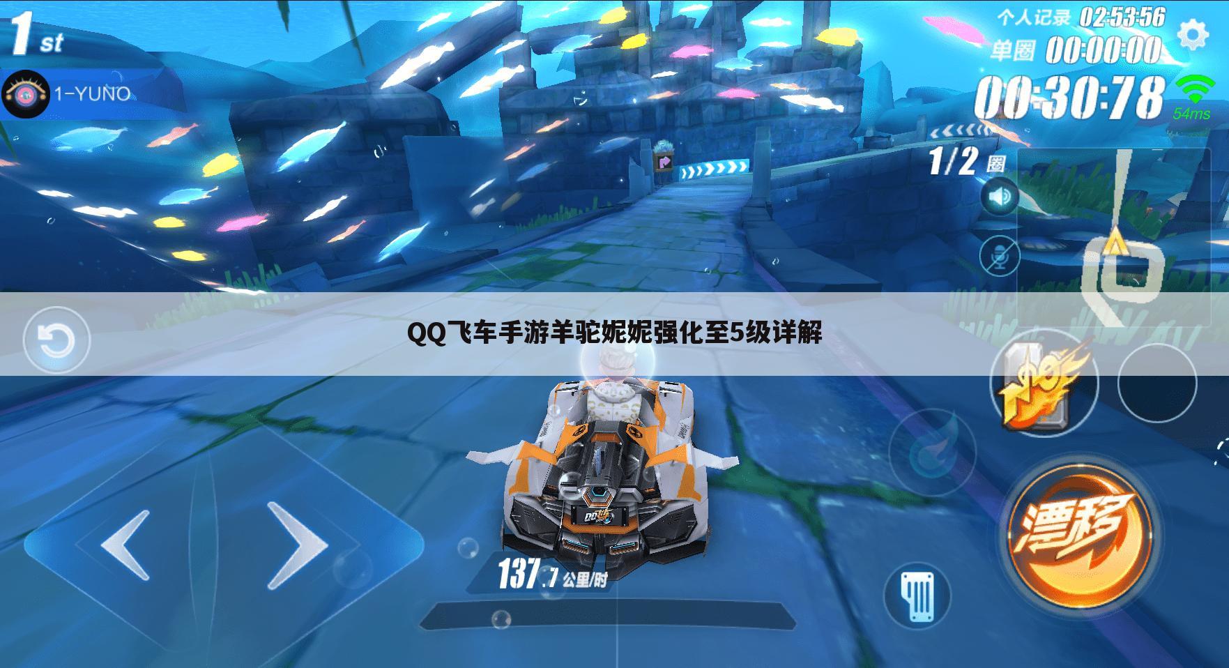 QQ飞车手游羊驼妮妮强化至5级详解