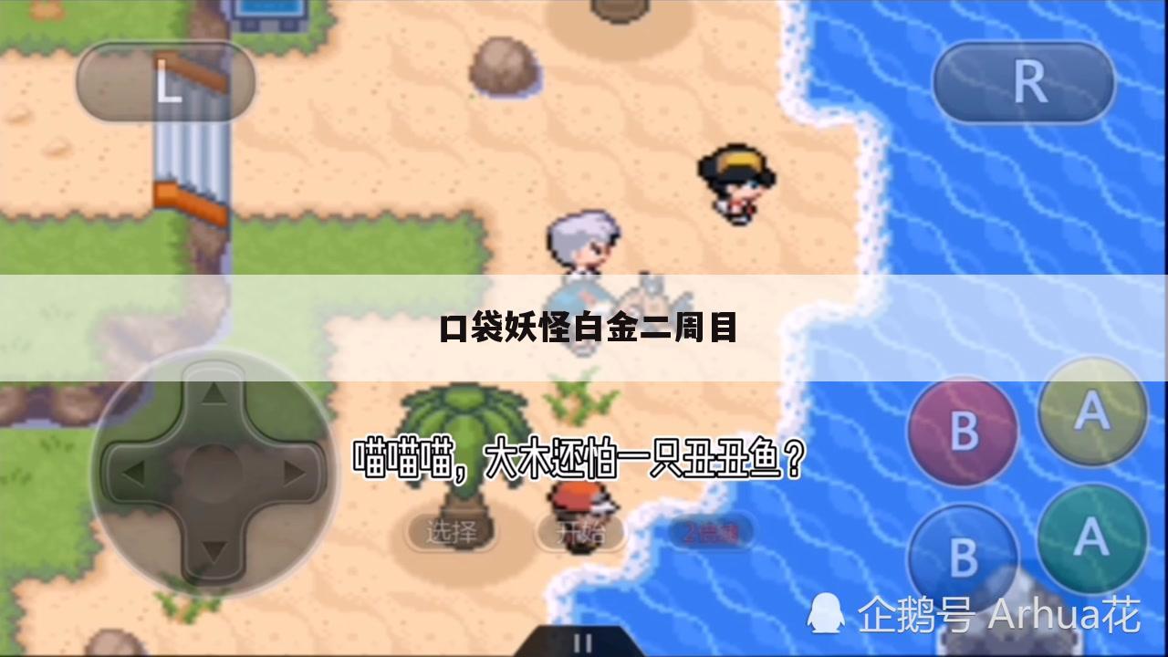 口袋妖怪白金二周目