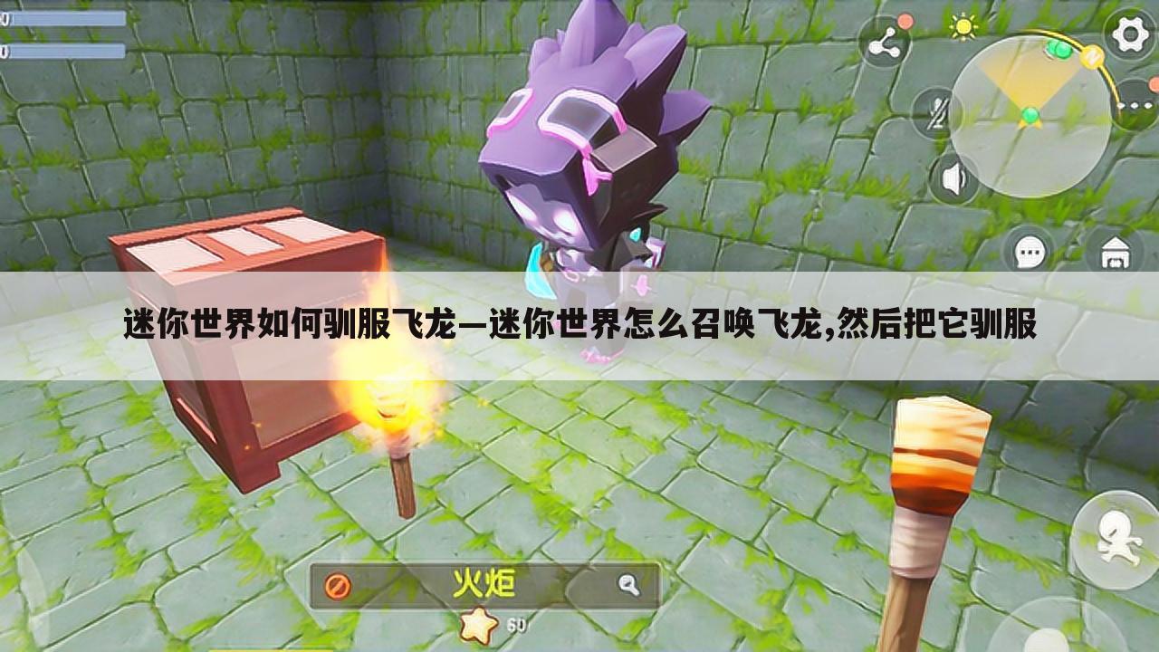 迷你世界如何驯服飞龙—迷你世界怎么召唤飞龙,然后把它驯服