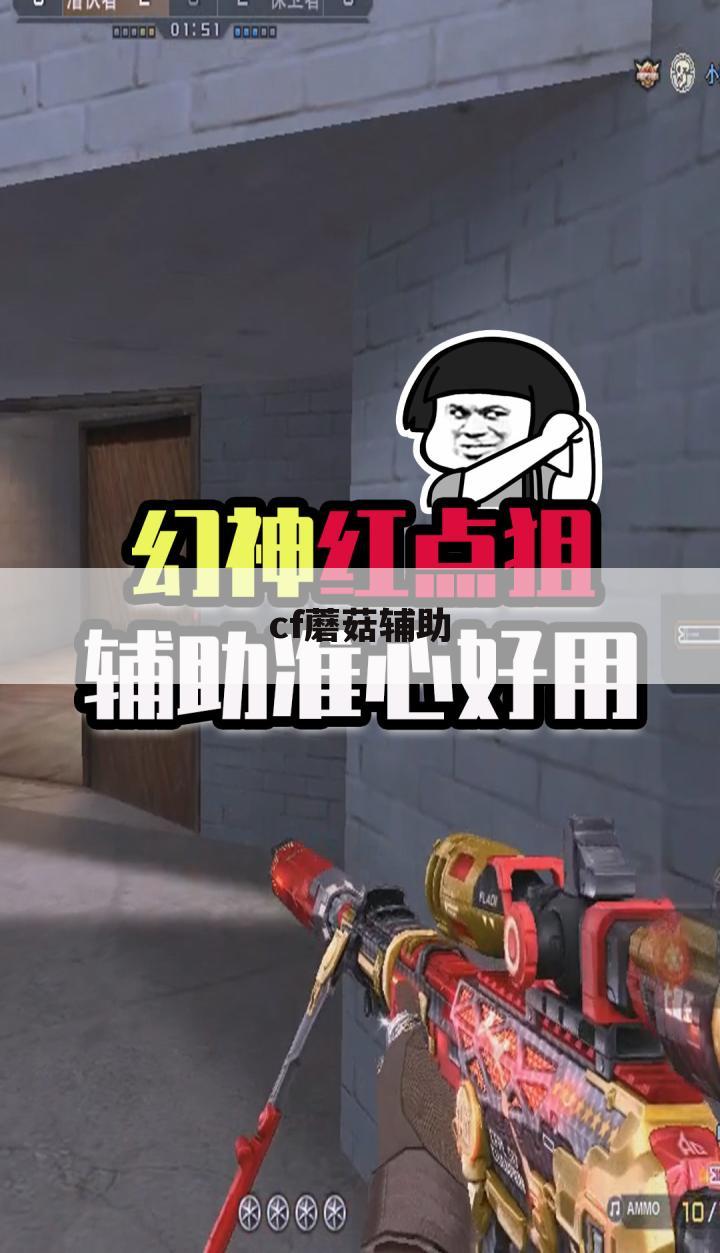 cf蘑菇辅助