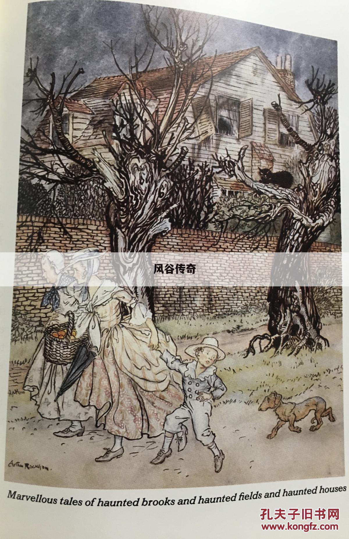 风谷传奇