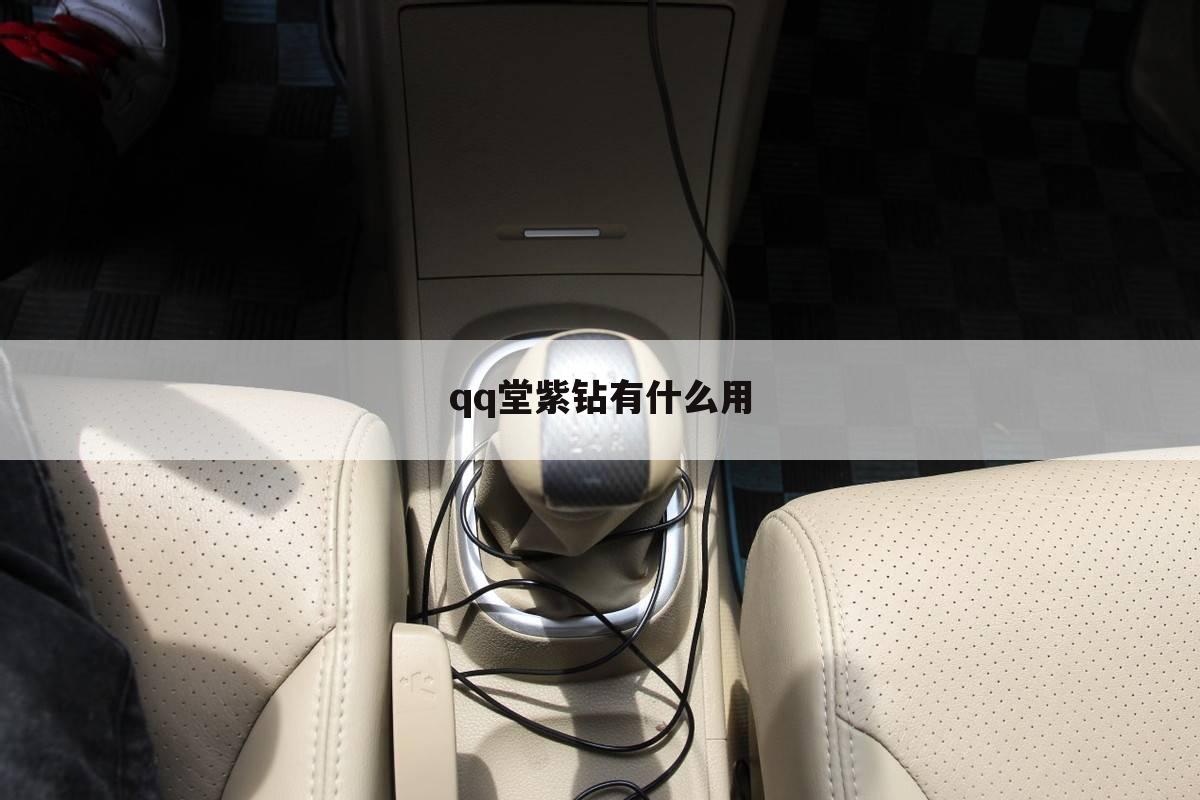 qq堂紫钻有什么用