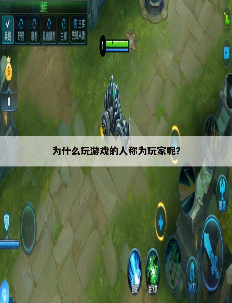 为什么玩游戏的人称为玩家呢?